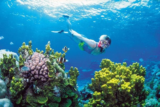 Snorkel, ATV, Zipline and Cenote Adventure from Cancun - The long pause between the sea and the jungle