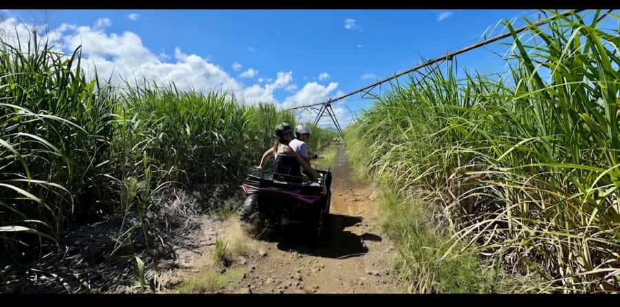 South of Mauritius: Quad Bike Tour - La Cambuse is the payoff