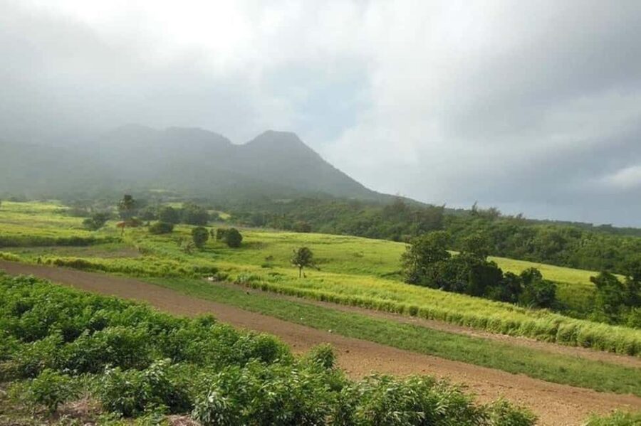 St Kitts: Jungle Bikes Off-Road ATV Tour - Pickup from the port and the ride into the countryside