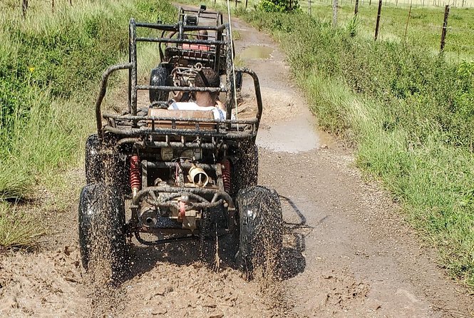 St. Mary's Mud Buggy Experience - Who should book this Antigua buggy ride?