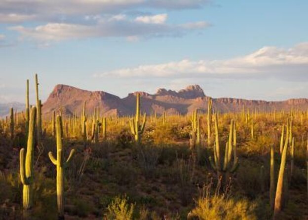 Sunset ATV/UTV 2 Person Sand Buggy Off-Road Tour Scottsdale - Key details before you book