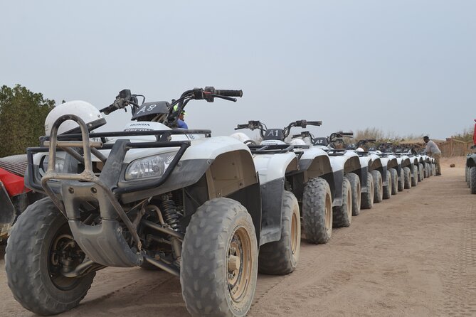 Super Safari ATV, Drive Buggy Car, Camel Ride, Bedouin Dinner, Show-Hurghada - Dinner under the stars and the evening show