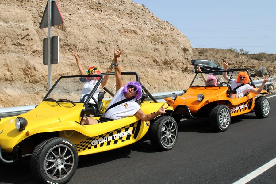 Tenerife Buggy Tour with Route Options Coast Mountain Sunset - Who will enjoy this most?