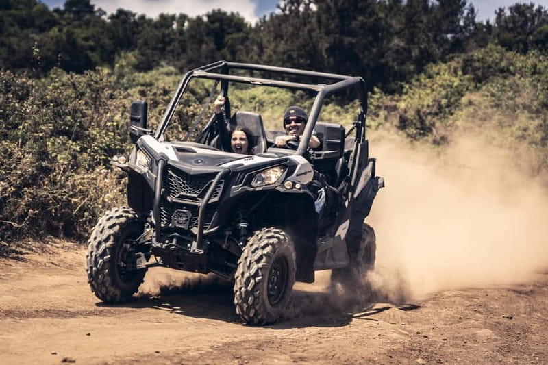 Tenerife: Guided Buggy Discovery Tour around Mount Teide - Is $225 good value for this Tenerife outing?