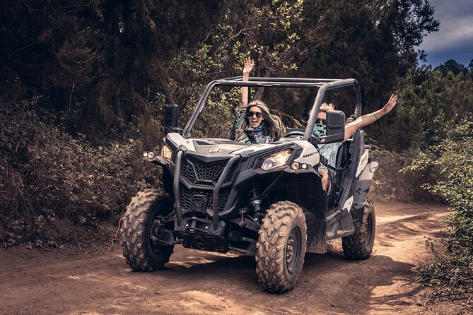 Tenerife: Guided Buggy Discovery Tour around Mount Teide - Mirador Lomo Molino and the value of a short viewpoint stop