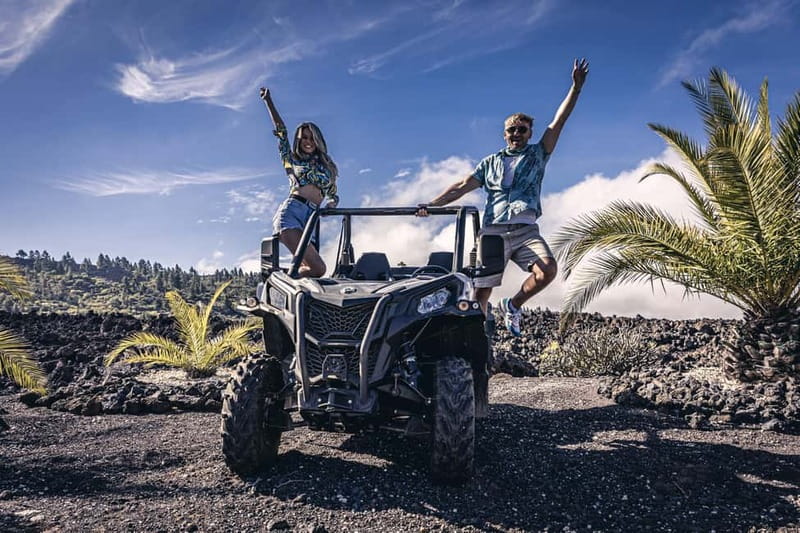 Tenerife: Guided Buggy Discovery Tour around Mount Teide - The camel center: a 20-minute break with a different feel