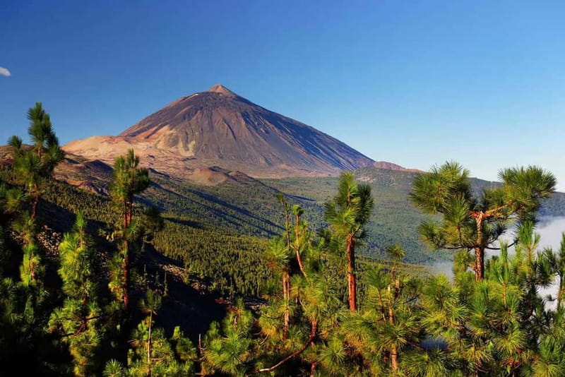 Tenerife: Jet Ski Tour with Optional Quad Trip - What the San Miguel jet ski route shows you
