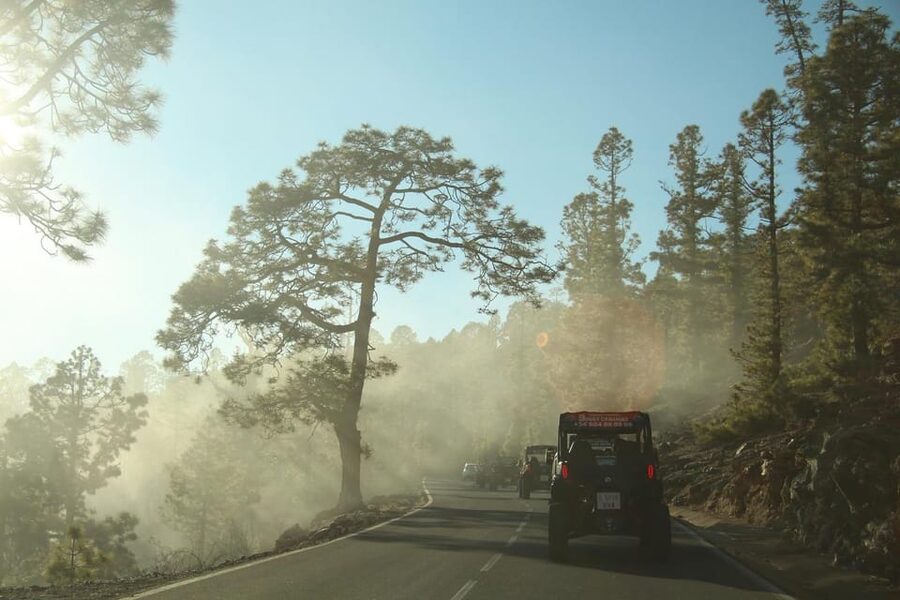Tenerife: Morning or Sunset Teide Buggy Tour - Should you book the Buggy Canarias Teide tour?