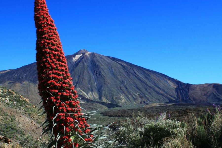 Tenerife: Mount Teide Quad Tour in Tenerife National Park - Descending through Tenerife’s volcanic country
