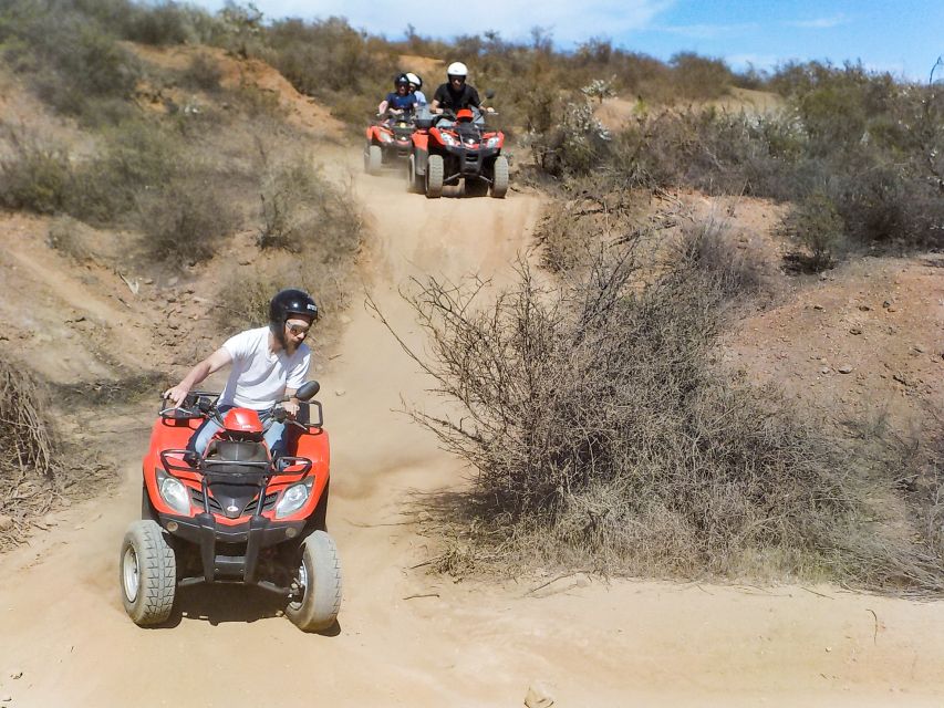 Tenerife: Quad Adventure Tour in Teide National Park - Who should book this four-hour adventure?