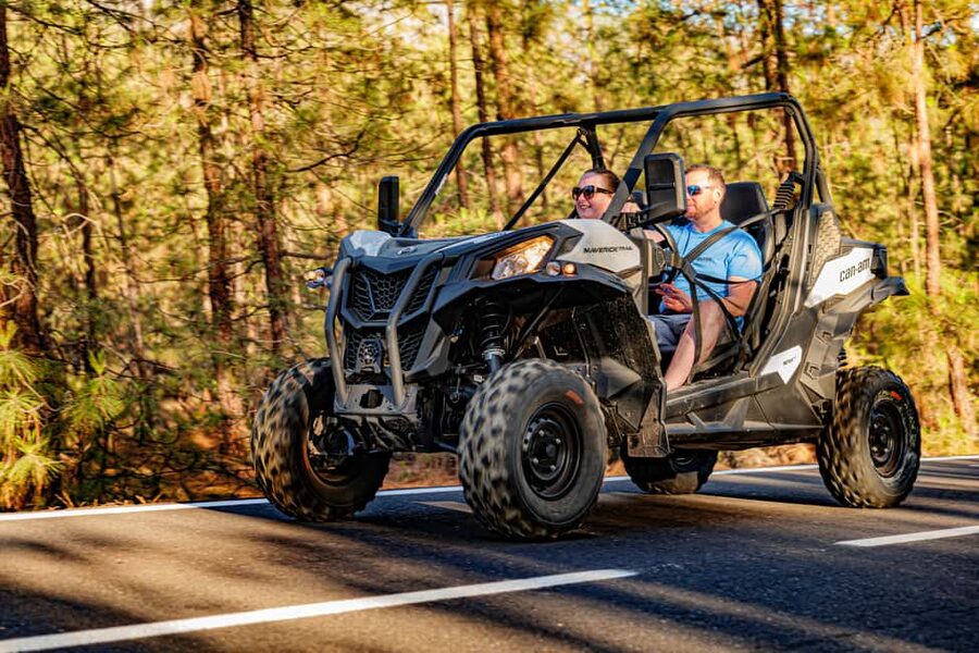 Tenerife: Teide Mountain Buggy On-Road GuidedTour with drink - Key points at a glance