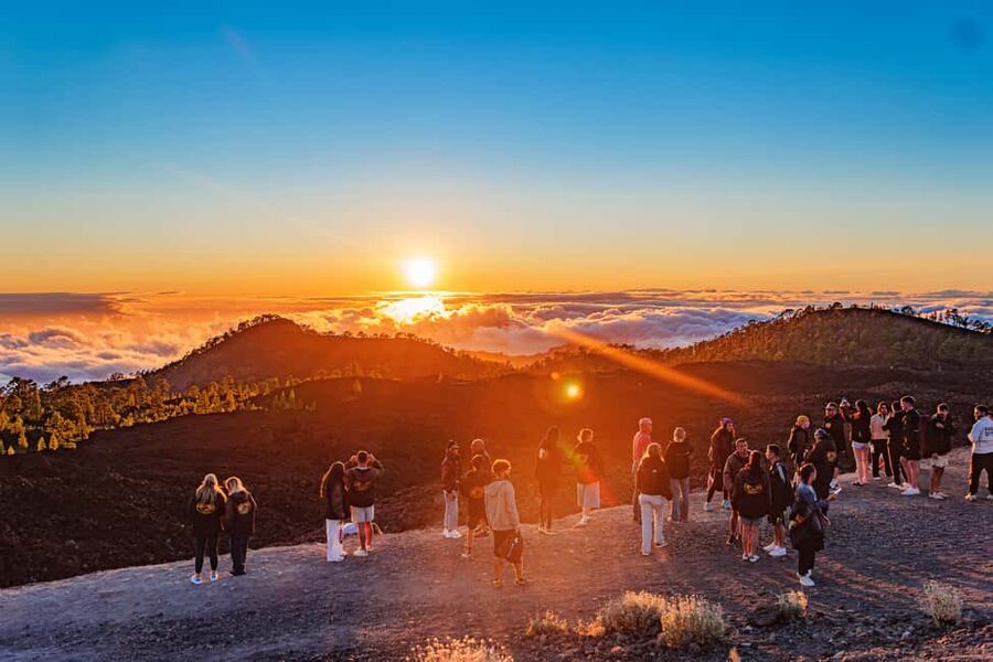 Tenerife: Teide Mountain On-Road Guided Quad Tour with drink - Mirador de los Poleos: the first mountain views