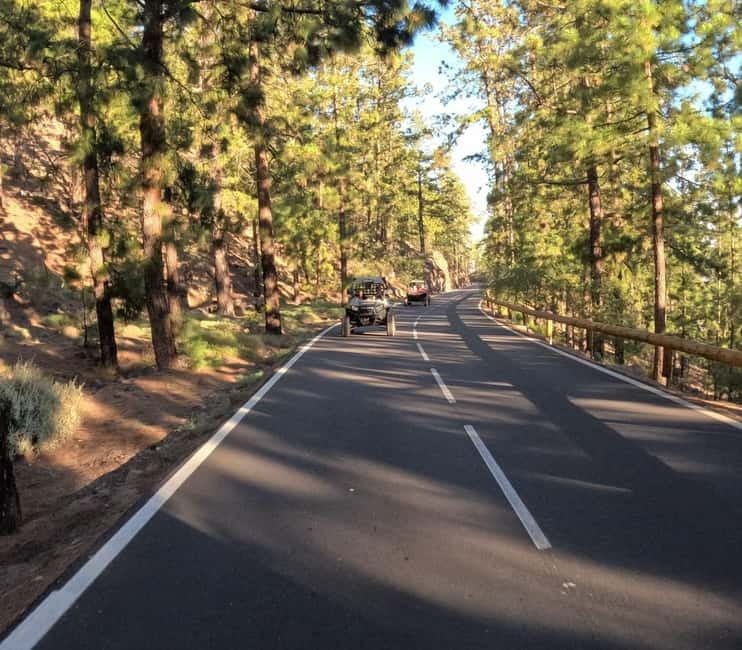 Tenerife: Teide National Park and Volcano Buggy Tour - The honest truth about the buggy driving