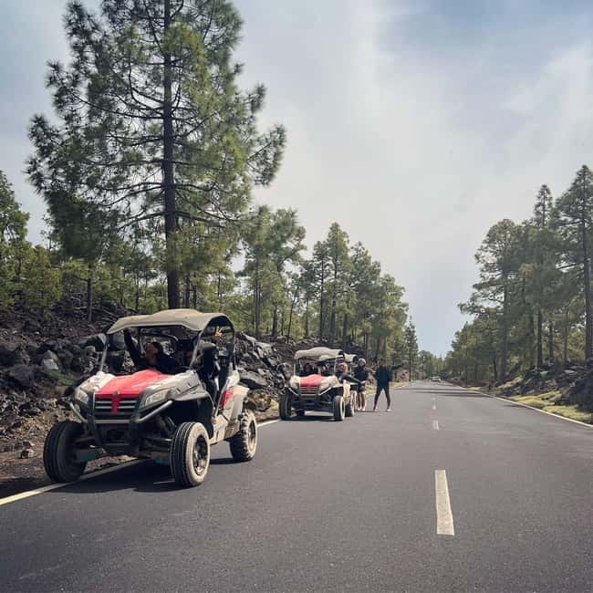 Tenerife: Teide National Park and Volcano Buggy Tour - Pine forests give way to Teide’s volcanic world