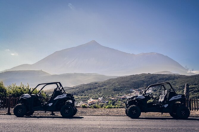 Tenerife: Teide National Park Buggy Tour with Hotel Transfer - Tamaimo brings the first change of pace