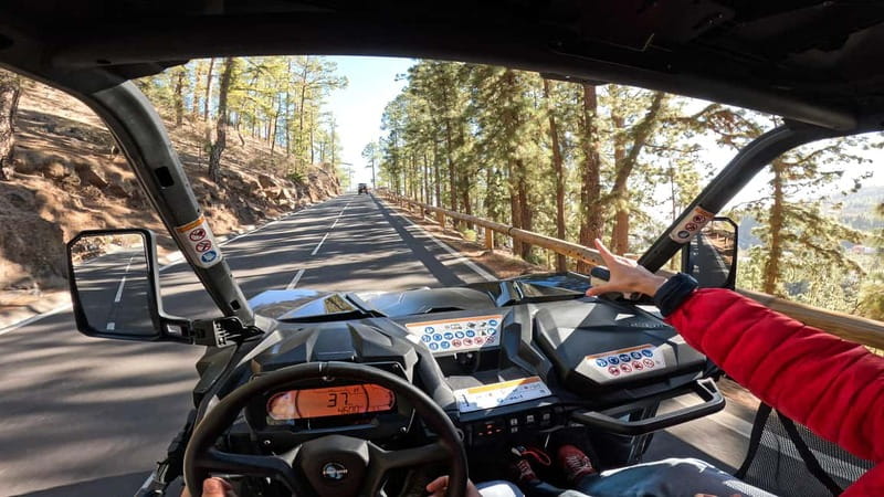 Tenerife: Teide National Park Guided Buggy Tour - What the buggy ride feels like