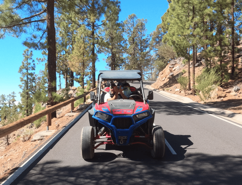 Tenerife: Volcano Teide Buggy Tour with Wine Tasting & Tapas - What to pack and what to expect on the day