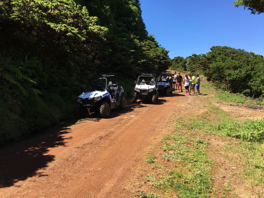 Terceira: Buggy Tour 4x4 West Side Azores Retreat - Guides, safety, and the small details that matter