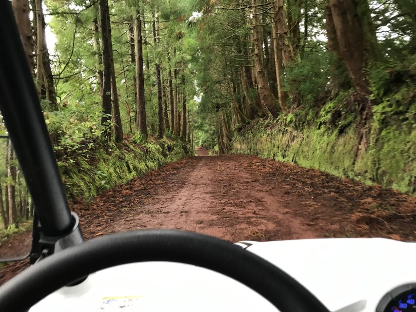 Terceira: Buggy Tour 4x4 West Side Azores Retreat - How to prepare for the west side ride