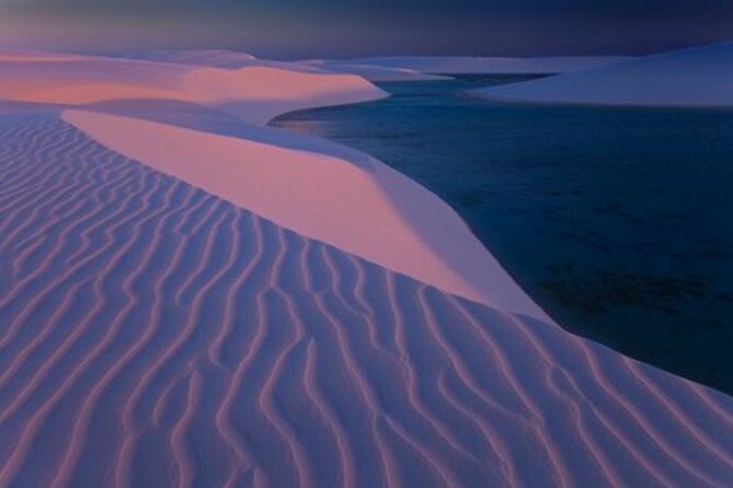 Thrilling 4-Hour Dune Bashing & Camel Ride Safari to Inland Sea - Sandboarding for a final burst of energy
