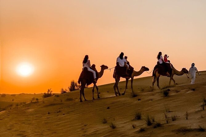 Thrilling 4-Hour Dune Bashing & Camel Ride Safari to Inland Sea - Sealine Beach and the short camel ride