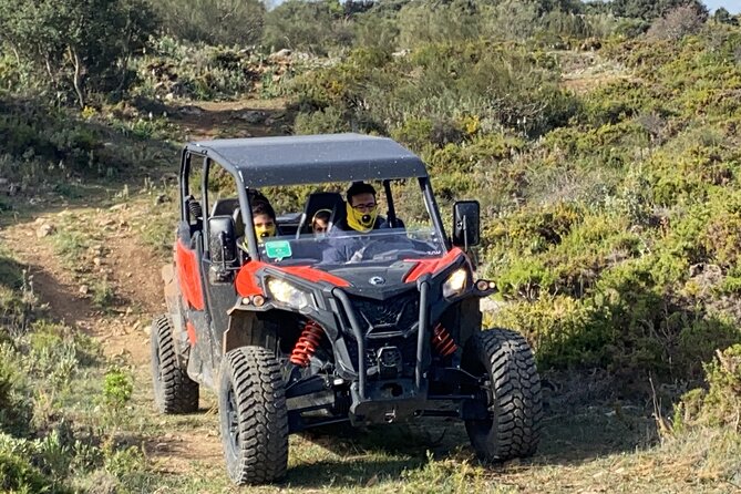TopBuggy Buggy Safari Ronda Gorge Trip - Why this buggy ride works in Ronda