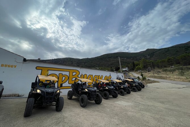 TopBuggy Buggy Safari Ronda Gorge Trip - The fortified wall and Puerta de Almocabar