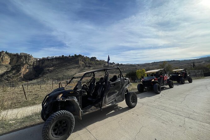 TopBuggy Buggy Safari Ronda Gorge Trip - Starting near Ronda at 11 a.m.