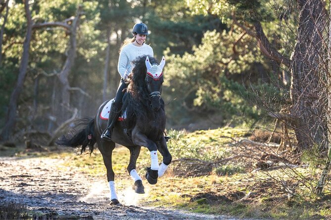 Tulum Jungle Horseback Ride + ATV + Ziplines + Cenote Combo Tour - Meeting the van in Tulum