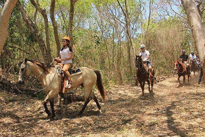 Tulum Jungle Horseback Ride + ATV + Ziplines + Cenote Combo Tour - The cenote is the reason to stay patient
