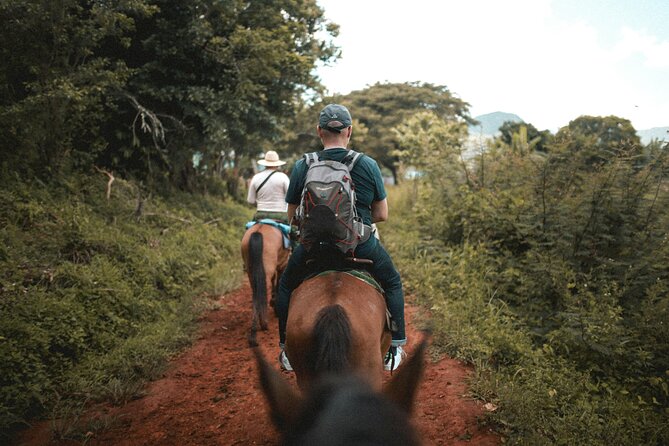 Tulum Jungle Horseback Ride + ATV + Ziplines + Cenote Combo Tour - Horseback riding: pleasant, but often brief