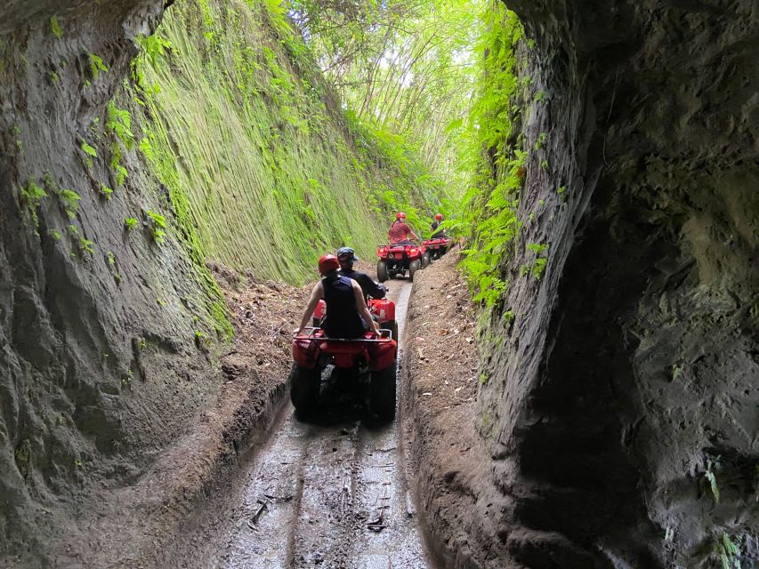 Ubud: Gorilla Face Quad Bike, Jungle Swing, Waterfall & Meal - Pickup, traffic, and the cost of convenience
