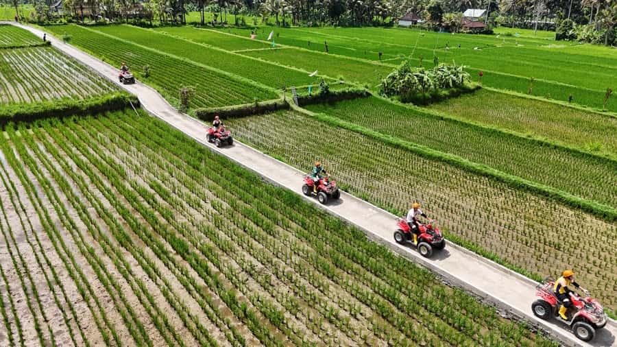 Ubud: Guided ATV Quad Bike Jungle Adventure with Lunch - Quick takeaways for your Ubud ATV day