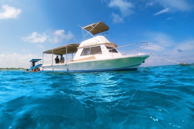 Ultimate 5x1 Combo with ATV, Ziplines, Cenote & Reef Snorkeling - Why this combo works for an action-packed day