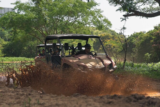 UTV adventure in Naguabo Puerto Rico 50 minutes trip 80 acres - Views toward El Yunque and the sea