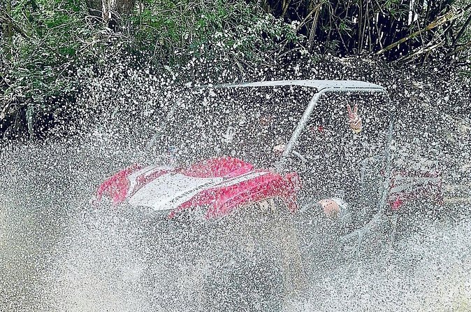 UTV adventure in Naguabo Puerto Rico 50 minutes trip 80 acres - The stop for photos, games, and drinks