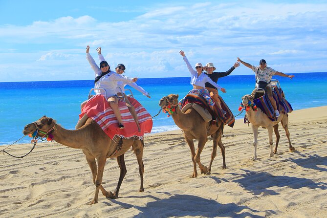 UTV Adventure with Free Camel Ride and Sky Bikes - Pickup from Cabo and the timing details