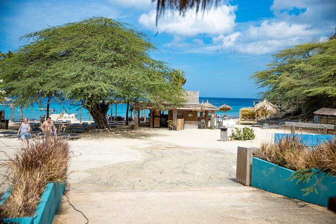 UTV Buggy and Snorkeling Tour in Willemstad Curacao - Kokomo Beach for swimming and snorkeling