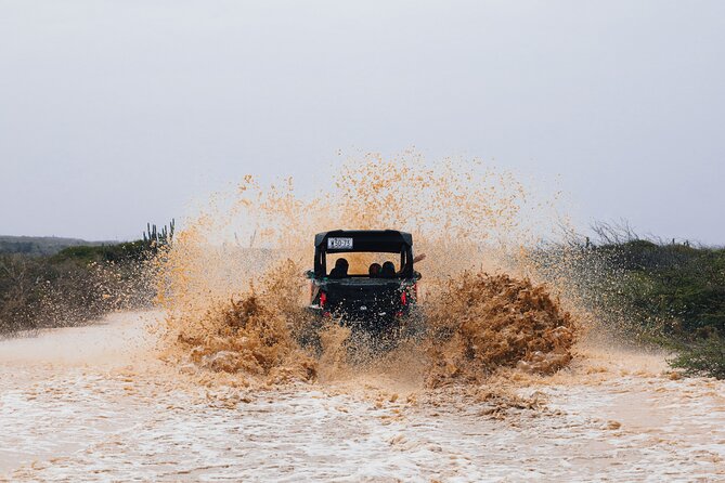 UTV Buggy Expedition in West Coast - Cooling off at Daaibooi Beach
