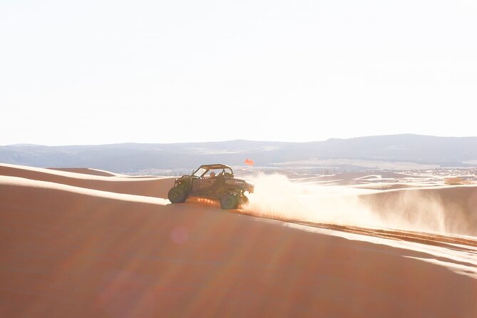 UTV Dune Cruise and Surf at Coral Pink Sand Dunes - Key points to know before booking