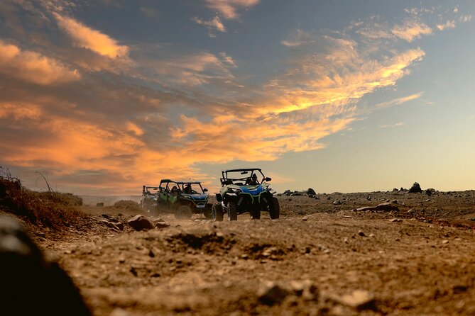 UTV Morning Tour: Discover Aruba's Hidden Treasures - Natural Bridge: A Famous Coastline View