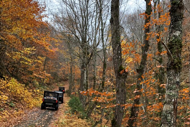 UTV/Side-by-Side Trail Tour to Cape Clear Look-off - What Makes This Cape Breton Ride Special