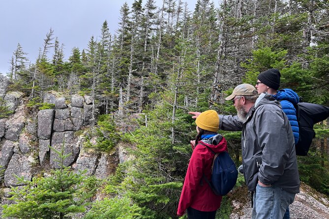 UTV/Side-by-Side Trail Tour to Cape Clear Look-off - Riding from 1072 Cabot Trail into the Highlands