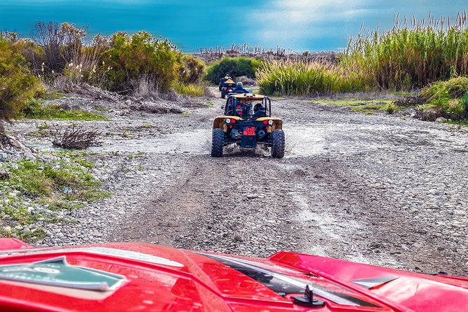 Village & Mountain Buggy Safari in Paphos - What the $102.80 price buys you