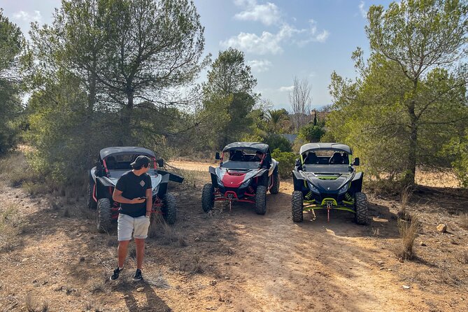 VIP Buggy Tour Off Road in Benidorm - El Albir: the first test of your driving