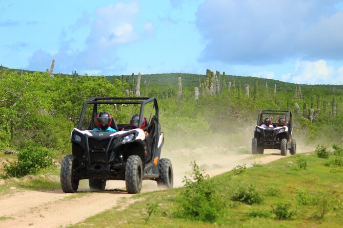 Viper Trail UTV Small-Group Experience in Cabo San Lucas - Key points to know before you go