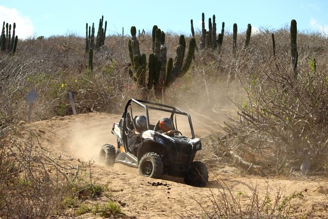 Viper Trail UTV Small-Group Experience in Cabo San Lucas - Guides who shape the experience