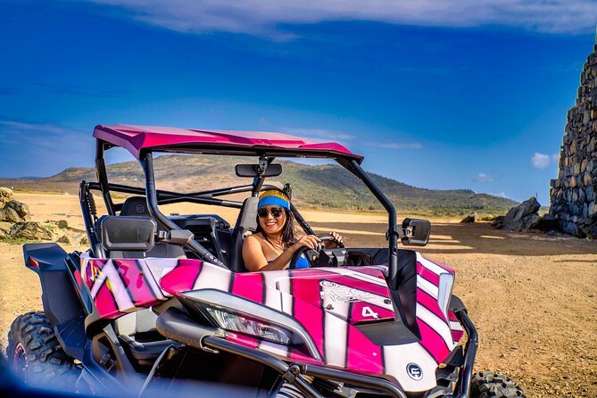 Wild Side UTV Tour: Explore the Northern treasure - What the $260 price really covers