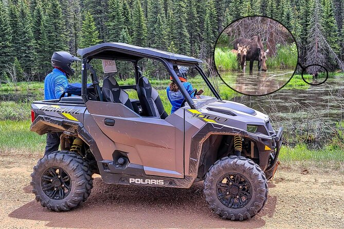 Woodland Park: 4-Hour Self-Guided Mountain UTV Tour - You Drive - What the four hours are really worth