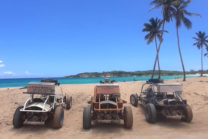 Xtreme Buggy 4 hours Dune Buggy & Country side experience - Key points to know before you book